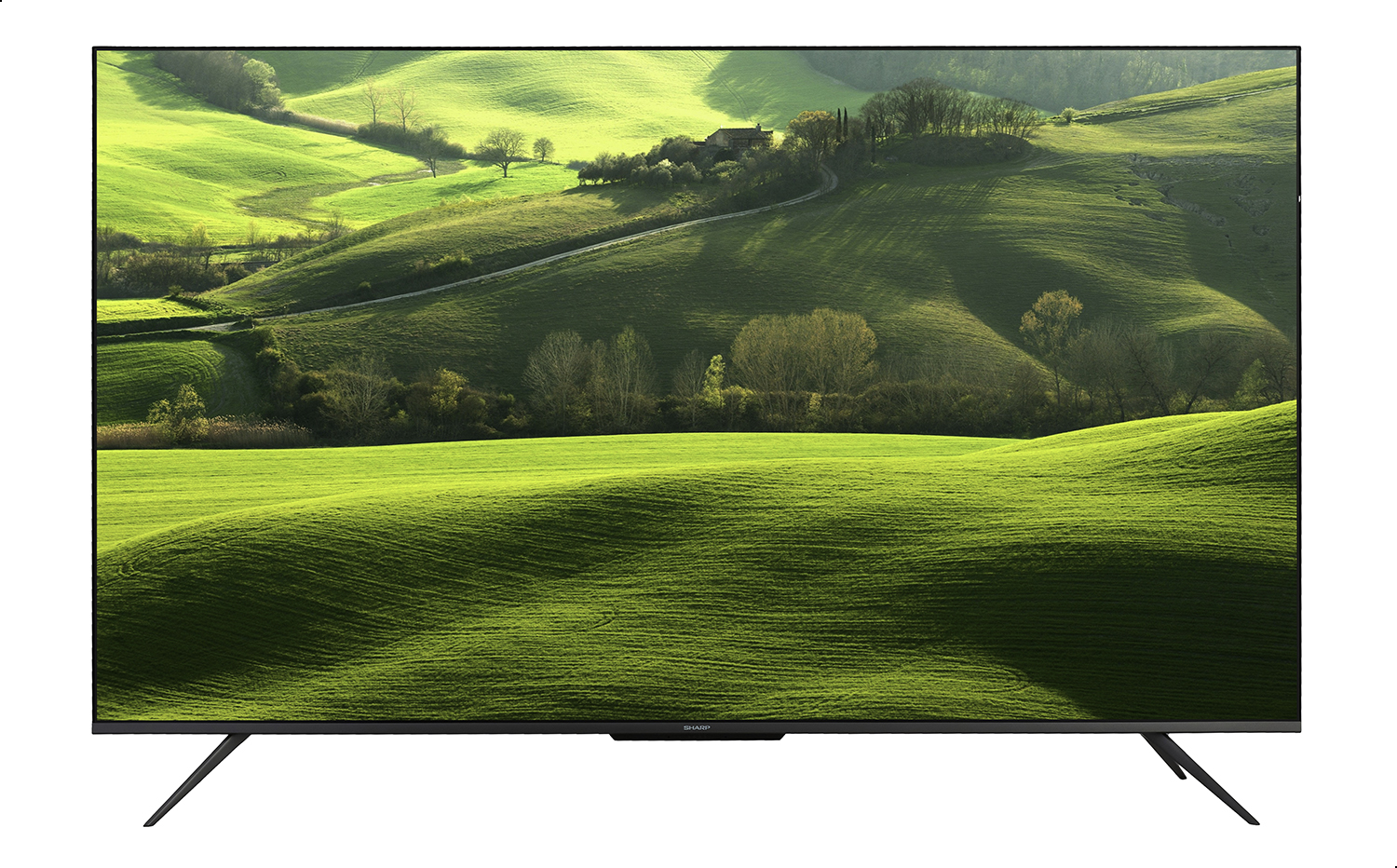 ⁦4T-C65DL6EX - شاشه شارب 65 بوصة⁩ - الصورة ⁦1⁩